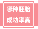 移植哪種胚胎的成功率最高？看完這篇你就知道了！