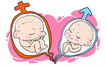 試管嬰兒移植后，原來胚胎經歷了這么多！
