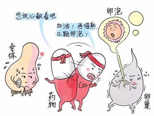 做試管嬰兒治療為什么卵泡會(huì)發(fā)育不好？