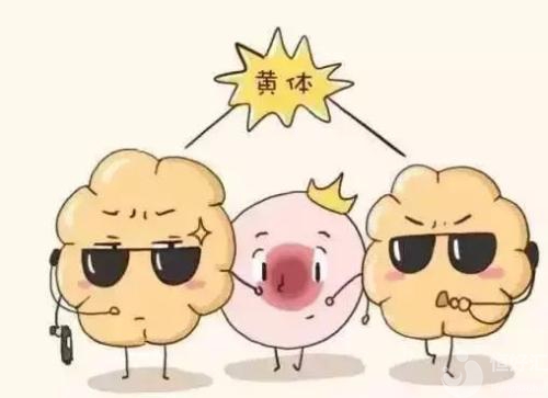 黃體功能不足，在懷孕期間要做什么？