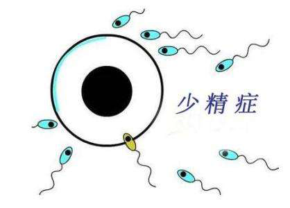男性弱精少精，該怎么辦？