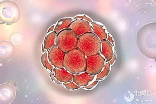 千古難題：試管嬰兒移植了優質胚胎為啥還沒懷孕？