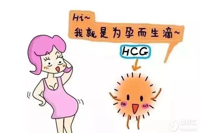 你知道嗎？HCG是帶來(lái)“孕氣”的象征