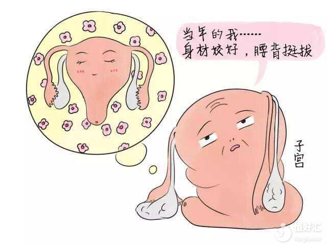 移植后的胚胎去哪兒了？醫(yī)生幫您找找......