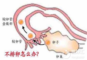 不排卵或許會出現(xiàn)這些癥狀，你發(fā)現(xiàn)了嗎？