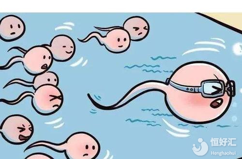 精子質量差懷孕難？教你這樣做提高精子質量