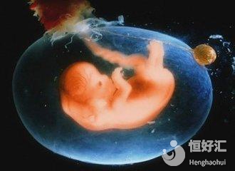 如何提高胚胎質(zhì)量？這幾個(gè)小妙招你要知道