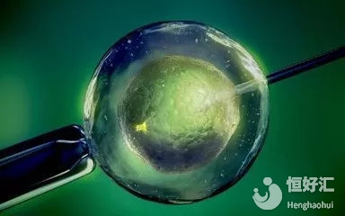 試管嬰兒移植后還會(huì)掉出來？麻煩帶腦子出門