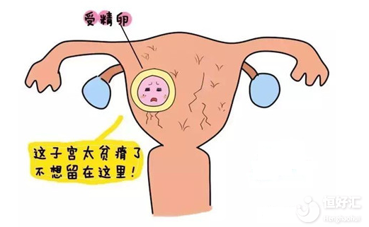 做試管失敗大多跟它們有關(guān)，說不定你也有