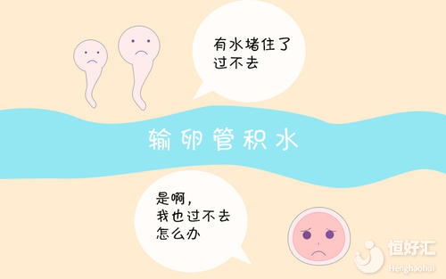 輸卵管積水會影響懷孕？能否做試管嬰兒？