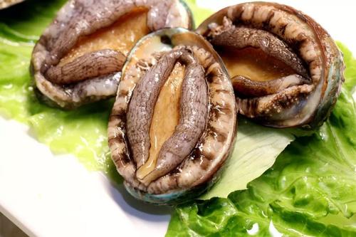 鮑魚(yú)