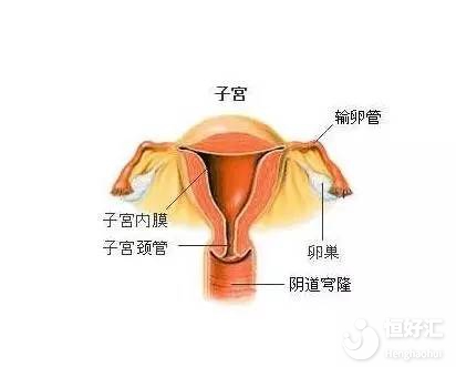 反復流產怎么辦
