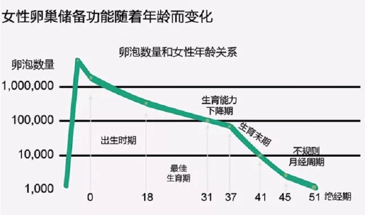 卵巢一生中是如何變化的？找到卵巢早衰的6大“元兇”，該謹記了