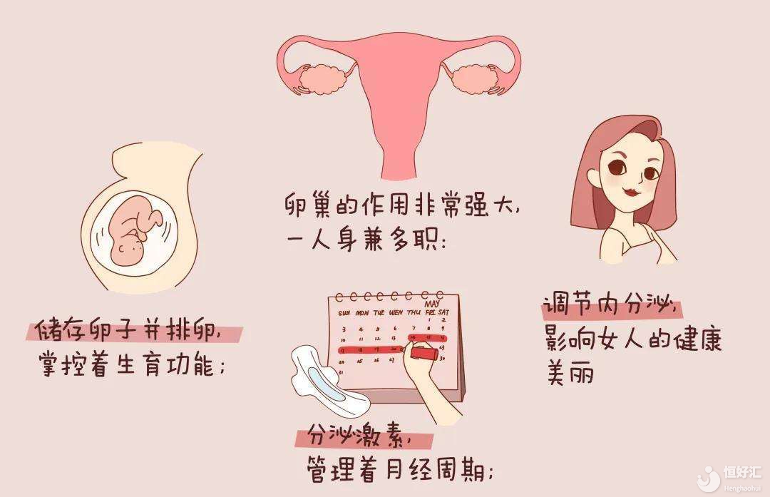 人年輕，卵巢卻老了，為什么會卵巢早衰？還能懷孕嗎？