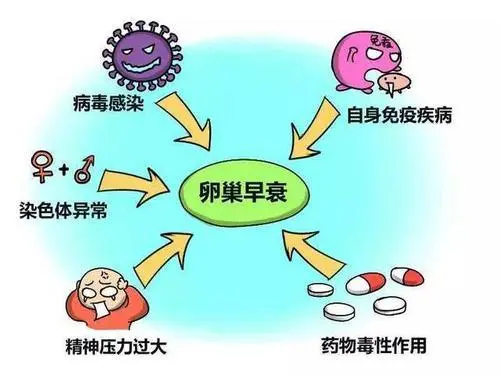 卵巢出現(xiàn)早衰的6個(gè)癥狀，女性留意下自己的身體