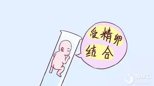 鮮胚、凍胚、囊胚，試管嬰兒中哪種移植成功率高？如何選？
